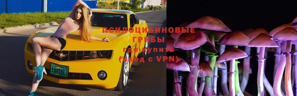трава Алексин