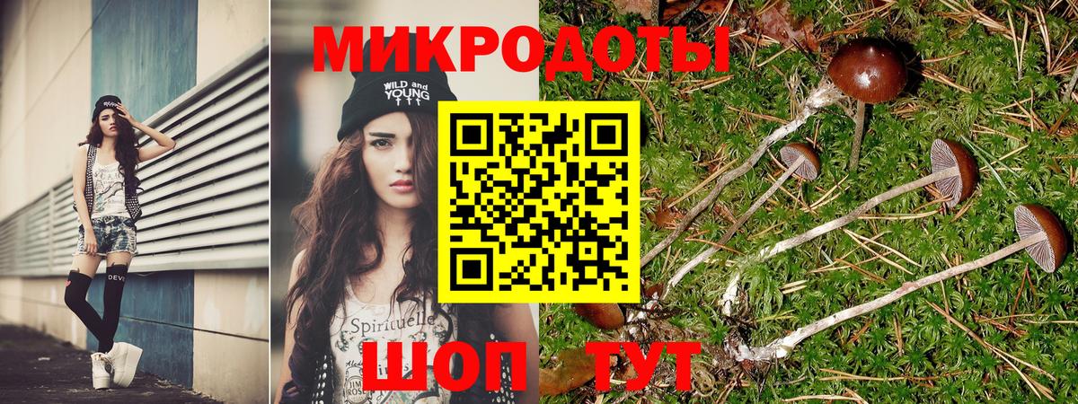 Коркино  Псилоцибиновые грибы прущие грибы  Вход с VPN  Галлюциногенные грибы Cubensis 